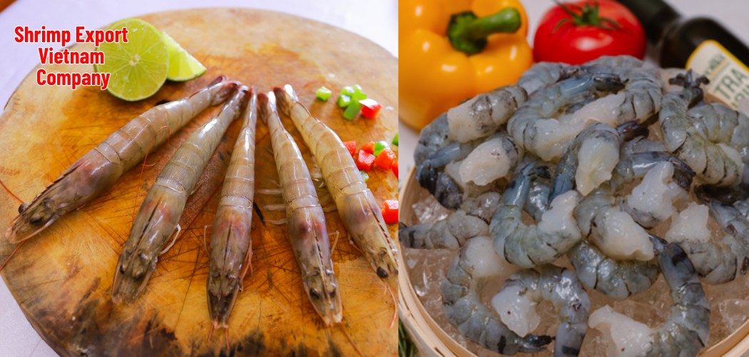 Shrimp Export Vietnam Company 6