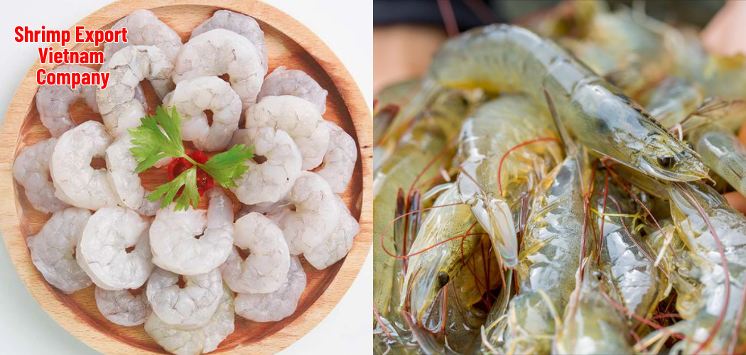 Shrimp Export Vietnam Company 7 1