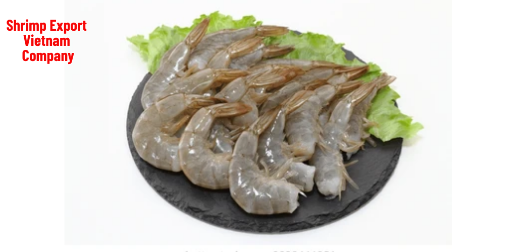 Shrimp Export Vietnam Company 9